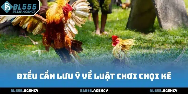 Điều cần lưu ý về luật chơi đá gà BL555